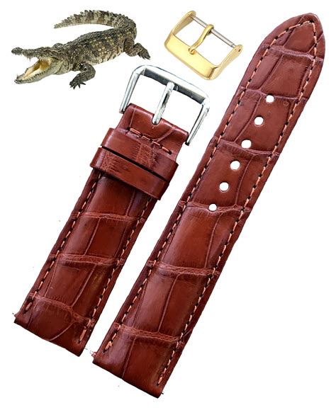 Alligator Straps for your Watch 